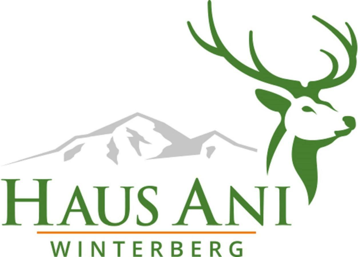 Haus Ani Winterberg Villa Exterior photo